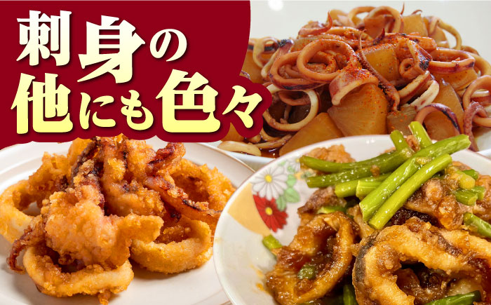 対馬産 ヤリイカ 刺身用 6杯《対馬市》【対馬新鮮組】 冷凍配送 小分け いか 新鮮 海鮮 冷凍配送  [WCS003]