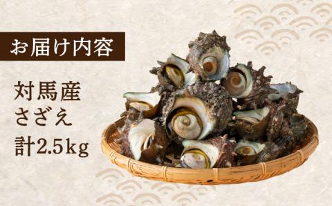 荒磯 さざえ 2.5 kg [WAD006]