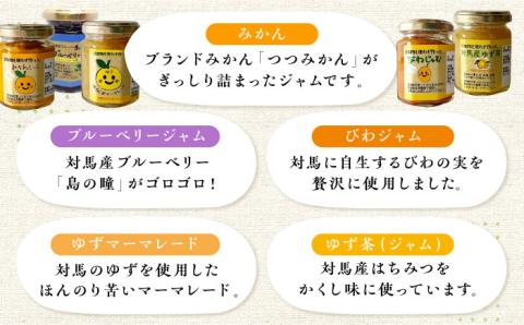 【12/22入金分まで年内発送】対馬の フルーツジャム 6本(3種類以上)セット《対馬市》【対馬コノソレ】フルーツ 果肉 詰め合わせ ジューシー 朝食 食べ比べ 島の瞳 ゆず ジャム ソース [WAM019]