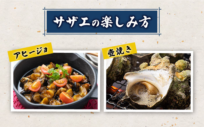 対馬産 活サザエ 6kg《対馬市》【保家商事】 サザエ さざえ 貝 BBQ 海鮮 魚貝 海産物 [WAA016]