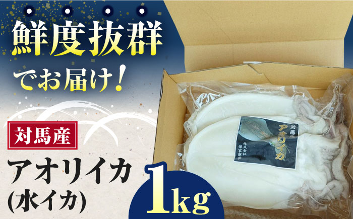 対馬産 アオリイカ 1kg《対馬市》【保家商事】烏賊 いか 刺身 海鮮 冷凍 [WAA029]