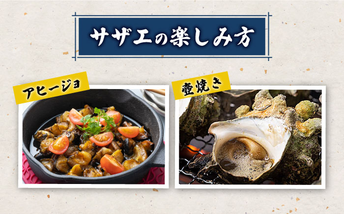 対馬産 活サザエ 5?s《対馬市》【保家商事】さざえ サザエ 刺し身 海鮮 魚貝 貝 海産物 [WAA033]