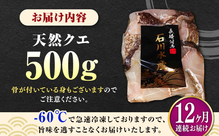 【全12回定期便】【 対馬産 】 天然 クエ 500g （切り身）《対馬市》【石川水産】 鍋 水炊き 鮮度抜群 海鮮 クエ 天然クエ [WAB020]