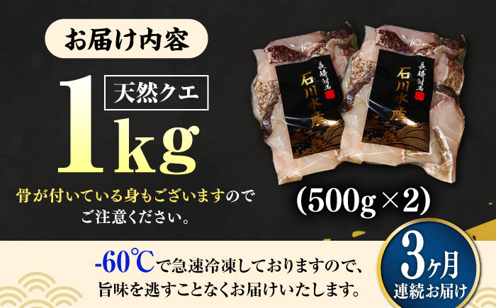 【全3回定期便】【 対馬産 】 天然 クエ 1kg（500g×2）（切り身）《対馬市》【石川水産】 鍋 水炊き 鮮度抜群 海鮮 クエ 天然クエ [WAB024]