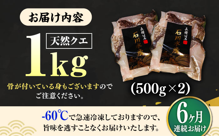 【全6回定期便】【 対馬産 】 天然 クエ 1kg（500g×2）（切り身）《対馬市》【石川水産】 鍋 水炊き 鮮度抜群 海鮮 クエ 天然クエ [WAB025]