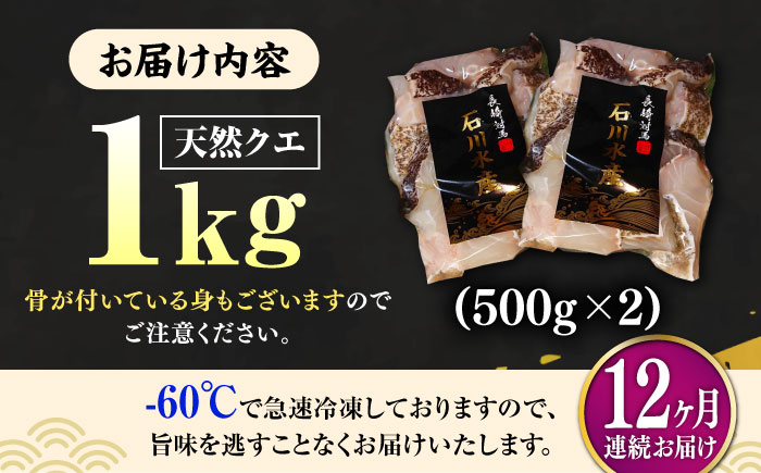 【全12回定期便】【 対馬産 】 天然 クエ 1kg（500g×2）（切り身）《対馬市》【石川水産】 鍋 水炊き 鮮度抜群 海鮮 クエ 天然クエ [WAB026]
