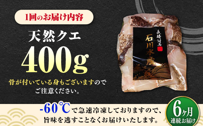 【全6回定期便】 【 対馬産 】 天然 クエ 400g （切り身）《対馬市》【石川水産】 鍋 水炊き 鮮度抜群 海鮮 [WAB031]