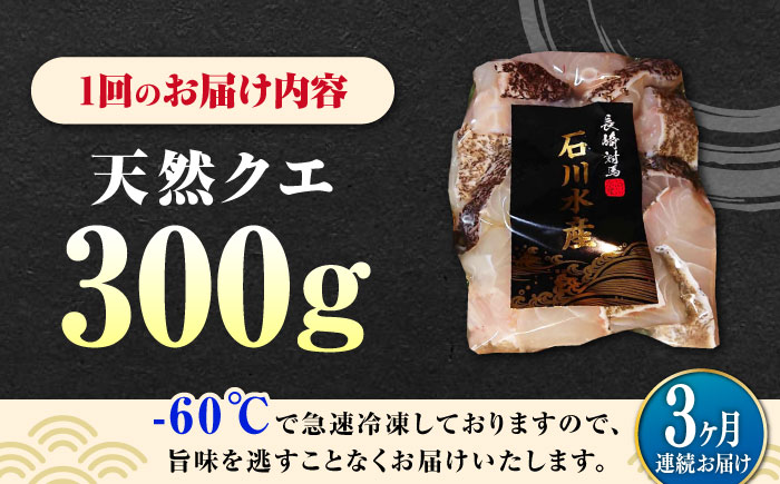 【全3回定期便】 【 対馬産 】 天然 クエ 300g （身のみ）《対馬市》【石川水産】 鍋 水炊き 鮮度抜群 海鮮 [WAB033]