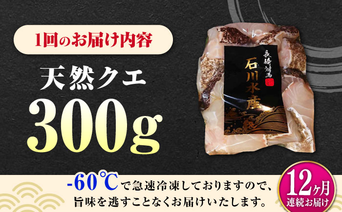 【全12回定期便】 【 対馬産 】 天然 クエ 300g （身のみ）《対馬市》【石川水産】 鍋 水炊き 鮮度抜群 海鮮 [WAB035]