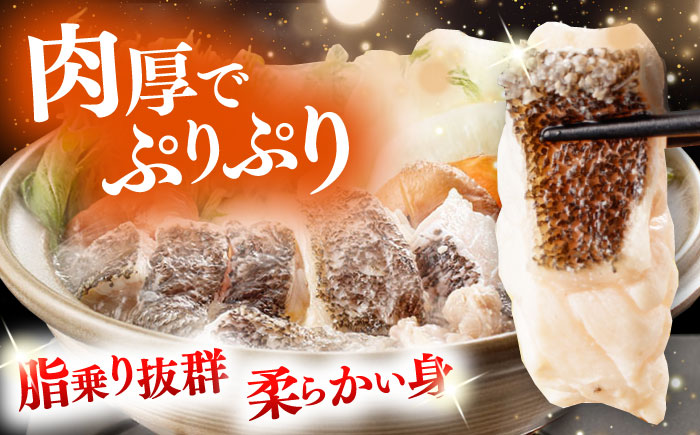 対馬産 クエ鍋セット 600g（2～3人前）《対馬市》【対馬地域商社】 [WAC014] アラ くえ クエ クエ鍋 鍋 鍋セット 高級魚 魚 希少 冷凍 長崎 九州 つしま 対馬市 海鮮 魚介