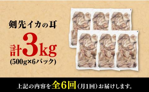 【全6回定期便】剣先いか の耳 3kg 《対馬市》【一般社団法人 対馬地域商社】 シロイカ 新鮮 肉厚 海鮮 BBQ 天ぷら 魚介 おかず いか [WAC048]