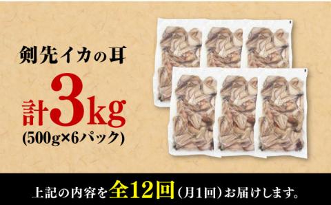 【全12回定期便】剣先いか の耳 3kg 《対馬市》【一般社団法人 対馬地域商社】 シロイカ 新鮮 肉厚 海鮮 BBQ 天ぷら 魚介 おかず いか [WAC049]