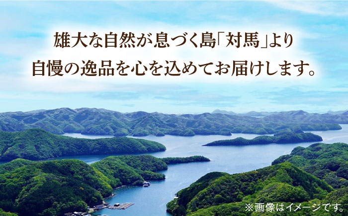 【全2回定期便】剣先 イカ 刺身 セット 1kg《対馬市》【海風商事】あかいか まるいか 九州 長崎 対馬 刺身 冷凍 ギフト 海鮮 魚介 魚介類 [WAD051]