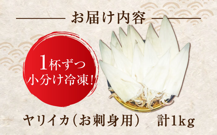 ヤリイカ お刺身用 1kg 《対馬市》【海風商事】 小分け 刺身 いか イカ ヤリイカ 新鮮 海鮮 冷凍 [WAD054]
