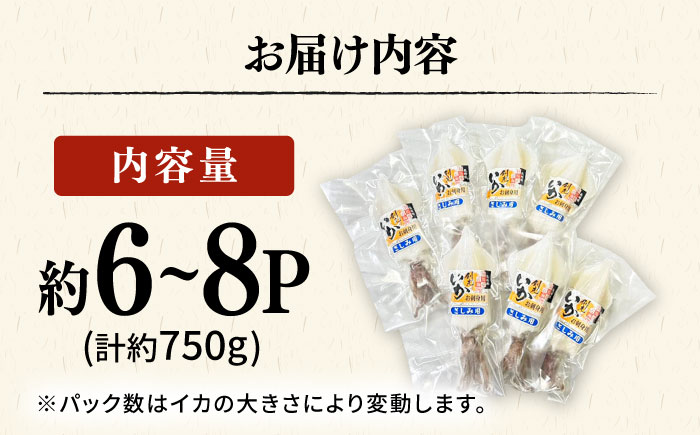 剣先イカ 750g(約6～8本) セット【丸徳水産】《対馬市》鮮度抜群 新鮮 ケンサキイカ シロイカ 下処理済 刺身 BBQ 惣菜 天ぷら フライ 海鮮 [WAE012]