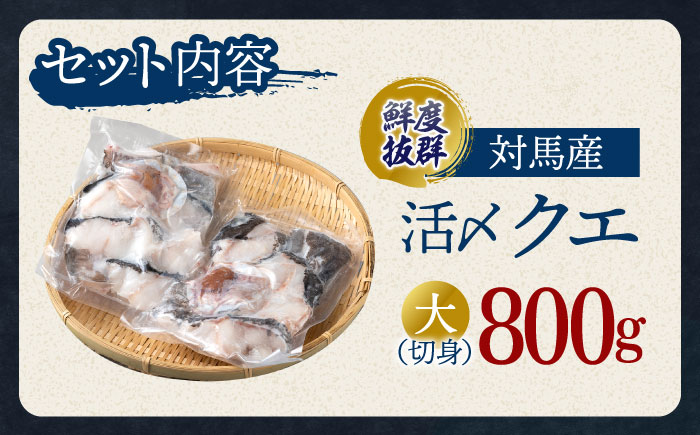 【12/17入金分まで年内発送】使い道いろいろ！ 活〆 クエ （ アラ ） 切身大 《 対馬市 》 【 対馬逸品屋 】 海鮮 高級 鍋 おもてなし [WAF013]