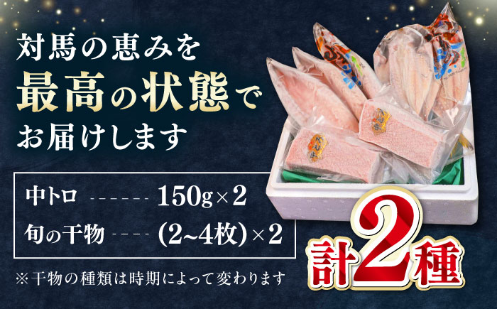 対馬産 本マグロ 中トロ 300g & 旬の干物 2種 《対馬市》【対海】 [WAH001] マグロ まぐろ 鮪 本鮪 本マグロ 養殖 トロ 中トロ 中とろ 刺身 干物 旬 魚 地魚 アジ カマス 冷凍 海鮮 柵 お祝い 贈答