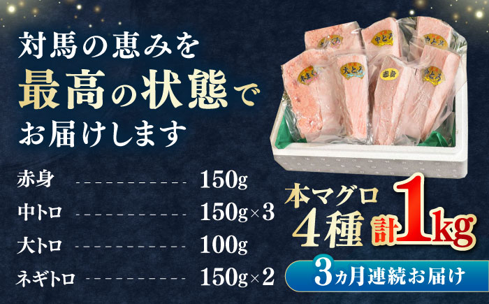 【全3回定期便】対馬産 本マグロ 4種 計1kg（赤身/中トロ/大トロ/ネギトロ）《対馬市》【対海】[WAH006] マグロ まぐろ 鮪 本鮪 本マグロ 養殖 トロ 中トロ 中とろ 大トロ 大とろ 赤身 ねぎとろ ネギトロ たたき 刺身 冷凍 海鮮 魚 柵 お祝い 贈答 定期便 毎月届く