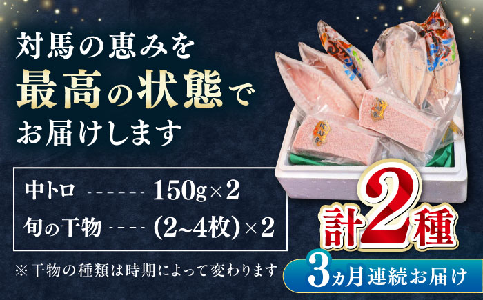 【全3回定期便】対馬産 本マグロ 中トロ 300g & 旬の干物 2種 《対馬市》【対海】 [WAH009] マグロ まぐろ 鮪 本鮪 本マグロ 養殖 トロ 中トロ 中とろ 刺身 干物 旬 魚 地魚 アジ カマス 冷凍 海鮮 柵 お祝い 贈答 定期便 毎月届く