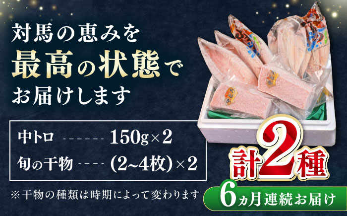 【全6回定期便】対馬産 本マグロ 中トロ 300g & 旬の干物 2種 《対馬市》【対海】 [WAH010] マグロ まぐろ 鮪 本鮪 本マグロ 養殖 トロ 中トロ 中とろ 刺身 干物 旬 魚 地魚 アジ カマス 冷凍 海鮮 柵 お祝い 贈答 定期便 毎月届く