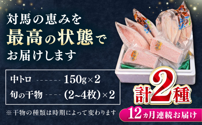 【全12回定期便】対馬産 本マグロ 中トロ 300g & 旬の干物 2種 《対馬市》【対海】 [WAH011] マグロ まぐろ 鮪 本鮪 本マグロ 養殖 トロ 中トロ 中とろ 刺身 干物 旬 魚 地魚 アジ カマス 冷凍 海鮮 柵 お祝い 贈答 定期便 毎月届く