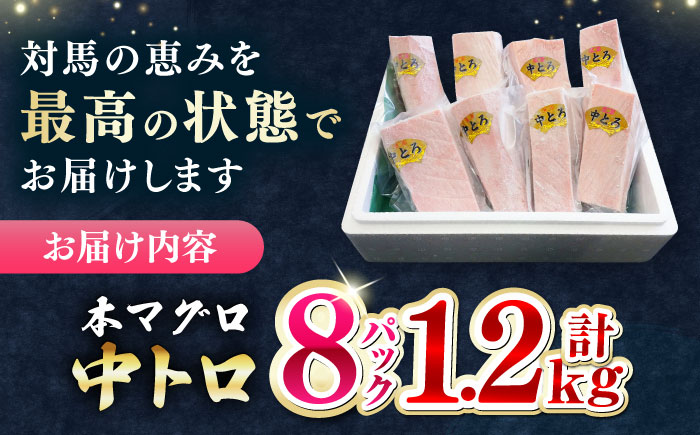 【12/11入金分まで年内発送】対馬産 養殖 本マグロ　中トロ 1.2kg(8パック)《対馬市》【対海】マグロ 鮪 まぐろ 本鮪 中とろ [WAH020]