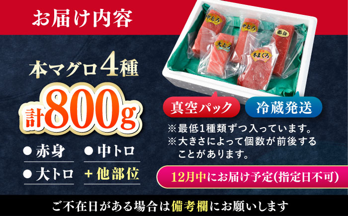 【12月中にお届け】対馬産 生 本マグロ 800g （赤身、中トロ、大トロ）《対馬市》　【対海】 中トロ 大トロ まぐろ マグロ 鮪 [WAH026-12]