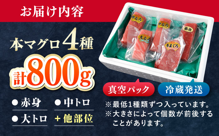 対馬産 生 本マグロ 800g （赤身、中トロ、大トロ）《対馬市》　【対海】 中トロ 大トロ まぐろ マグロ 鮪 [WAH026]