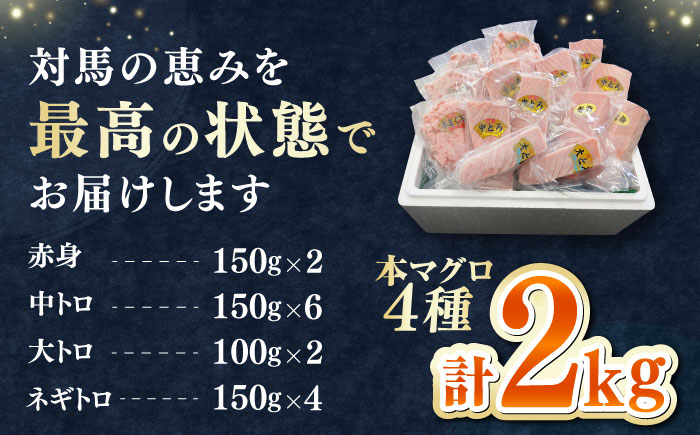 対馬産 本マグロ 4種 計2kg（赤身/中トロ/大トロ/ネギトロ）《対馬市》【対海】 冷凍配送 大容量 新鮮 贈答 贈り物 海鮮丼 手巻き寿司 [WAH027]