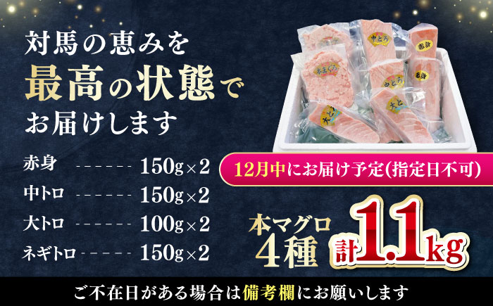 【12月中にお届け】対馬産 本マグロ 4種 計1.1kg（赤身/中トロ/大トロ/ネギトロ）《対馬市》【対海】 冷凍配送 食べ比べ 新鮮 手巻き寿司 海鮮丼 贈り物 [WAH028-12]