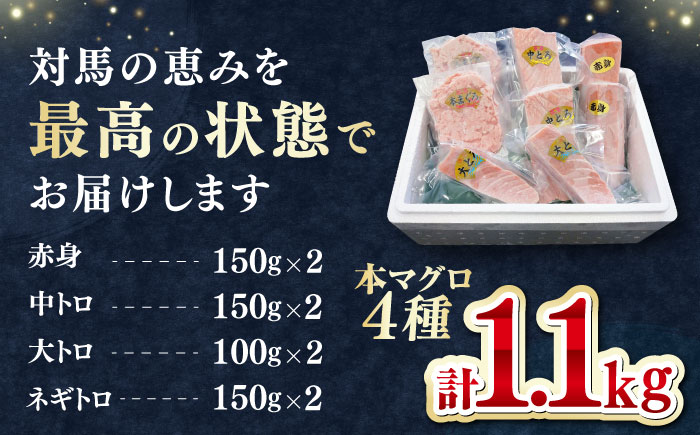 対馬産 本マグロ 4種 計1.1kg（赤身/中トロ/大トロ/ネギトロ）《対馬市》【対海】 冷凍配送 食べ比べ 新鮮 手巻き寿司 海鮮丼 贈り物 [WAH028]