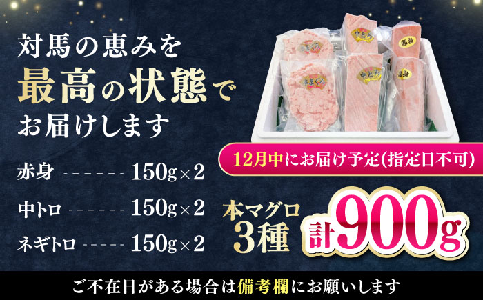 【12月中にお届け】対馬産 本マグロ 3種 計900g（赤身/中トロ/ネギトロ）《対馬市》【対海】 冷凍配送 食べ比べ 贈り物 魚介類 [WAH029-12]