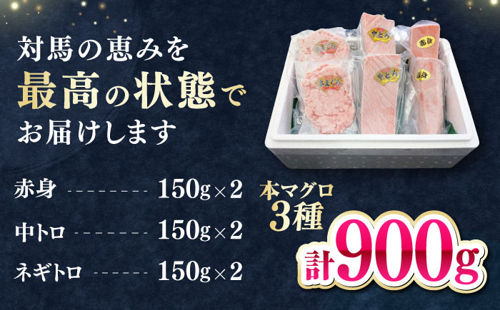対馬産 本マグロ 3種 計900g（赤身/中トロ/ネギトロ）《対馬市》【対海】 冷凍配送 食べ比べ 贈り物 魚介類 [WAH029]