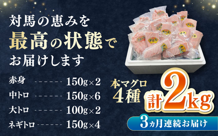 【全3回定期便】 対馬産 本マグロ 4種 計2kg（赤身/中トロ/大トロ/ネギトロ）《対馬市》【対海】 冷凍配送 大容量 新鮮 海鮮丼 手巻き寿司 [WAH034]
