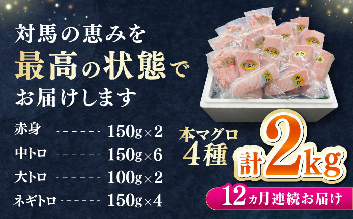 【全12回定期便】 対馬産 本マグロ 4種 計2kg（赤身/中トロ/大トロ/ネギトロ）《対馬市》【対海】 冷凍配送 大容量 新鮮 海鮮丼 手巻き寿司 [WAH036]