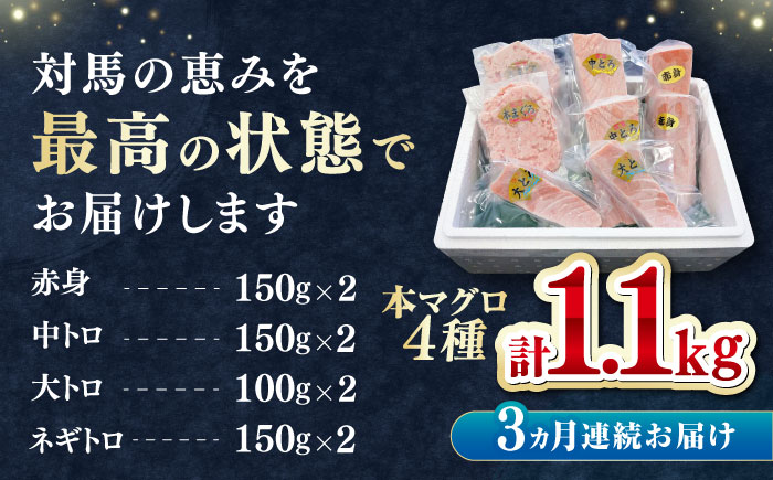 【全3回定期便】 対馬産 本マグロ 4種 計1.1kg（赤身/中トロ/大トロ/ネギトロ）《対馬市》【対海】 冷凍配送 食べ比べ 新鮮 手巻き寿司 海鮮丼 [WAH037]