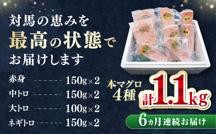 【全6回定期便】 対馬産 本マグロ 4種 計1.1kg（赤身/中トロ/大トロ/ネギトロ）《対馬市》【対海】 冷凍配送 食べ比べ 新鮮 手巻き寿司 海鮮丼 [WAH038]