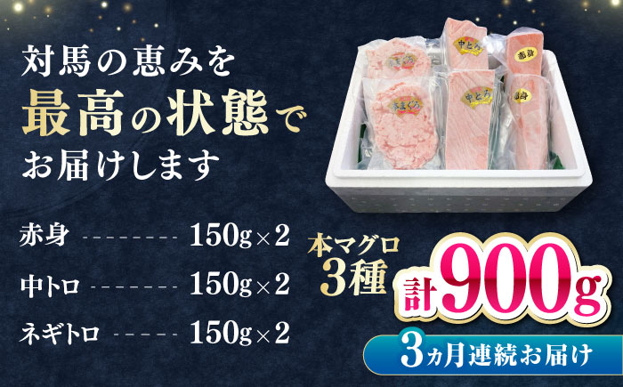 【全3回定期便】 対馬産 本マグロ 3種 計900g（赤身/中トロ/ネギトロ）《対馬市》【対海】 冷凍配送 食べ比べ 贈り物 魚介類 [WAH040]