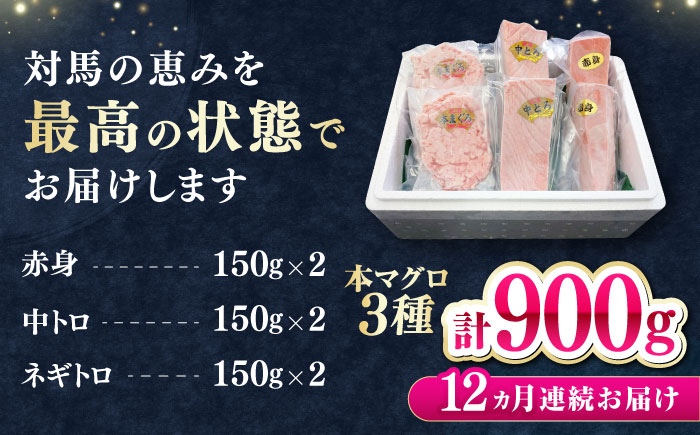 【全12回定期便】 対馬産 本マグロ 3種 計900g（赤身/中トロ/ネギトロ）《対馬市》【対海】 冷凍配送 食べ比べ 贈り物 魚介類 [WAH042]