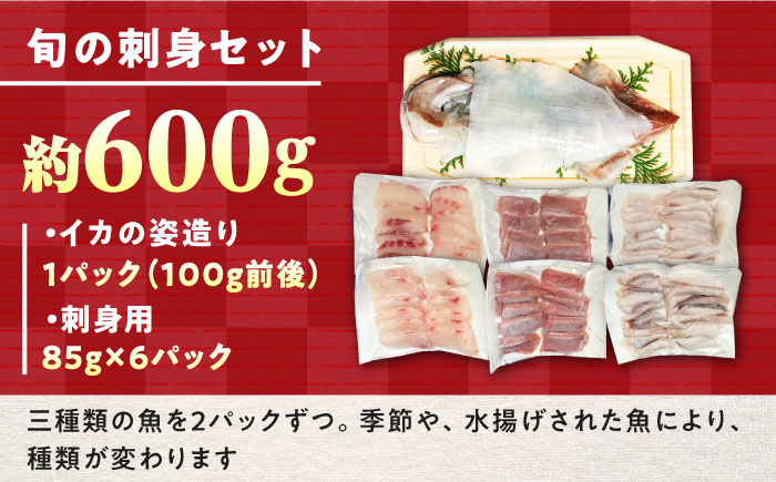 【2025年6月から順次発送】対馬 イカ 姿造り と 刺身 の セット 約600g【真心水産】《対馬市》新鮮 海鮮 いか 冷凍 刺身 ケンサキイカ 島魚 海鮮丼 手巻き寿司 [WAK011]