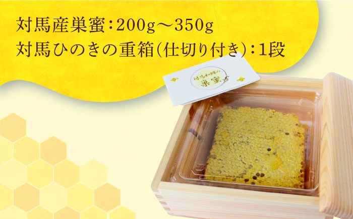 対馬 はちみつ 採れたて 巣蜜 つしま ひのき 重箱 ギフト《対馬市》【特定非営利活動法人 對馬次世代協議会（対馬コノソレ）】九州 長崎 スイーツ [WAM014]