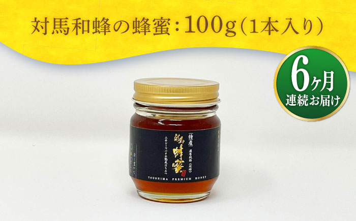 【全6回定期便】 対馬 和蜂 はちみつ 100g×1本 《対馬市》【特定非営利活動法人 對馬次世代協議会（対馬コノソレ）】 蜂蜜 ハチミツ 日本ミツバチ ニホンミツバチ [WAM044]