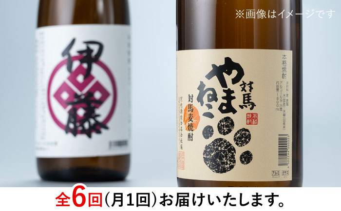 【全6回定期便】芋焼酎 麦米焼酎 本格焼酎一升瓶 2本 セット 《対馬市》【白嶽酒造株式会社】 [WAN031]