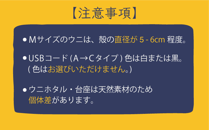 充電式ウニホタルテーブルランプ《対馬市》【一般社団法人MIT】対馬 インテリア 間接照明 手作り [WAP007]
