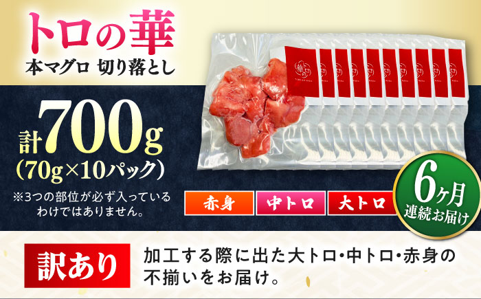 【全6回定期便】訳あり！対馬産 本マグロ 切り落とし 700g（10パック） ≪対馬市≫【桐谷商店】 トロの華 冷凍 新鮮 海鮮 小分け マグロ [WAQ041]
