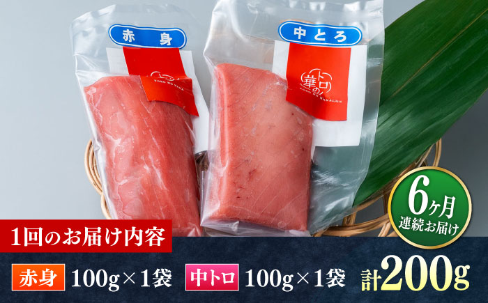 【全6回定期便】対馬産 本マグロ 200g（赤身100g、中トロ100g） ≪対馬市≫【桐谷商店】 トロの華 対馬 新鮮 マグロ 赤身 トロ 鮪 刺身 [WAQ061]