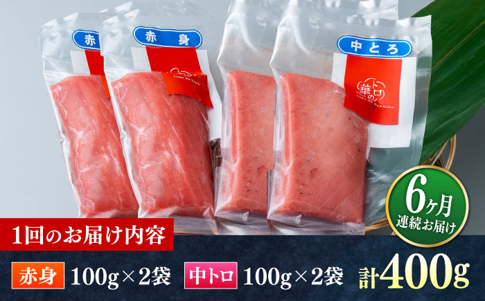 【全6回定期便】対馬産 本マグロ 400g（赤身200g、中トロ200g） ≪対馬市≫【桐谷商店】 トロの華 対馬 新鮮 マグロ 赤身 トロ 鮪 刺身 [WAQ065]