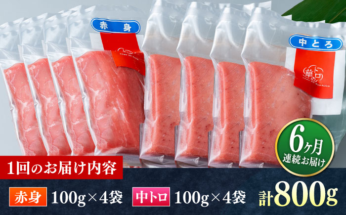 【全6回定期便】対馬産 本マグロ 800g（赤身400g、中トロ400g） ≪対馬市≫【桐谷商店】 トロの華 対馬 新鮮 マグロ 赤身 トロ 鮪 刺身 [WAQ073]