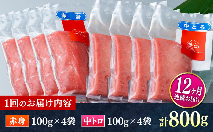 【全12回定期便】対馬産 本マグロ 800g（赤身400g、中トロ400g） ≪対馬市≫【桐谷商店】 トロの華 対馬 新鮮 マグロ 赤身 トロ 鮪 刺身 [WAQ074]