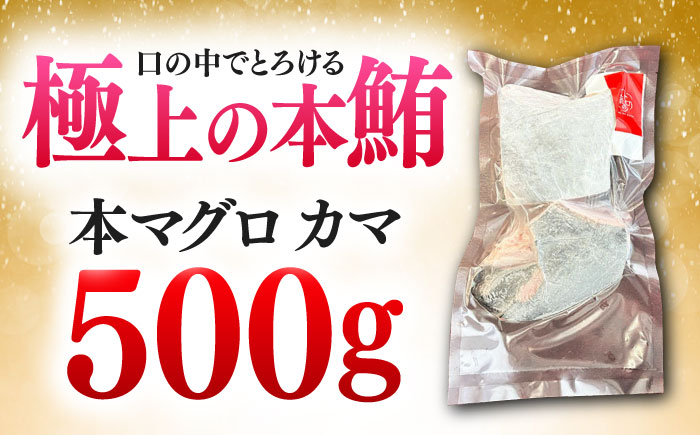 対馬産 本マグロ カマ 500g ≪対馬市≫【桐谷商店】 トロの華 対馬 新鮮 マグロ かま 鮪 [WAQ091]